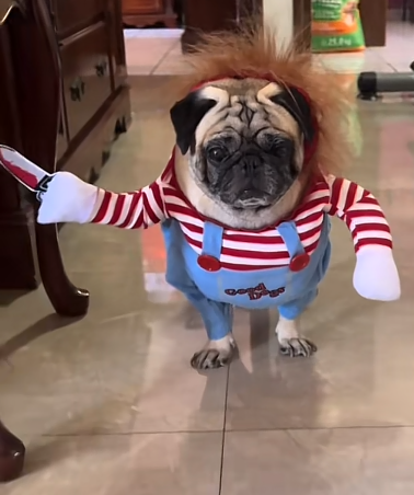 Disfraz de Perro Chucky para Halloween, Trajes para Perros, Disfraz de Muñeco Mortal, Cosplay de Halloween, Ropa de Fiesta para Perros Pequeños, Medianos y Grandes